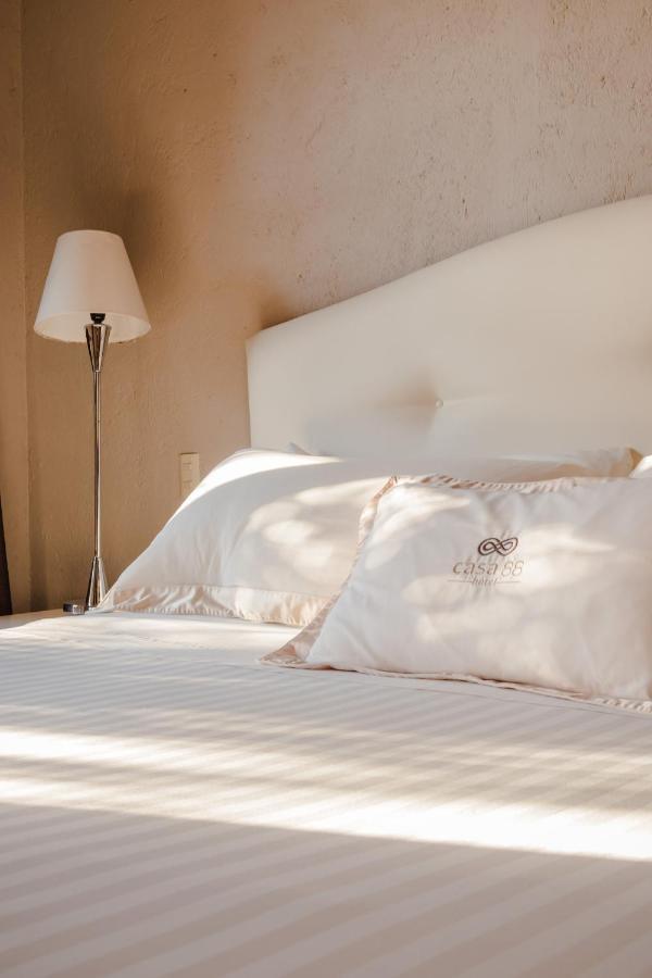Hotel Casa 88 Σαν Μιγκέλ ντε Αγιέντε Εξωτερικό φωτογραφία