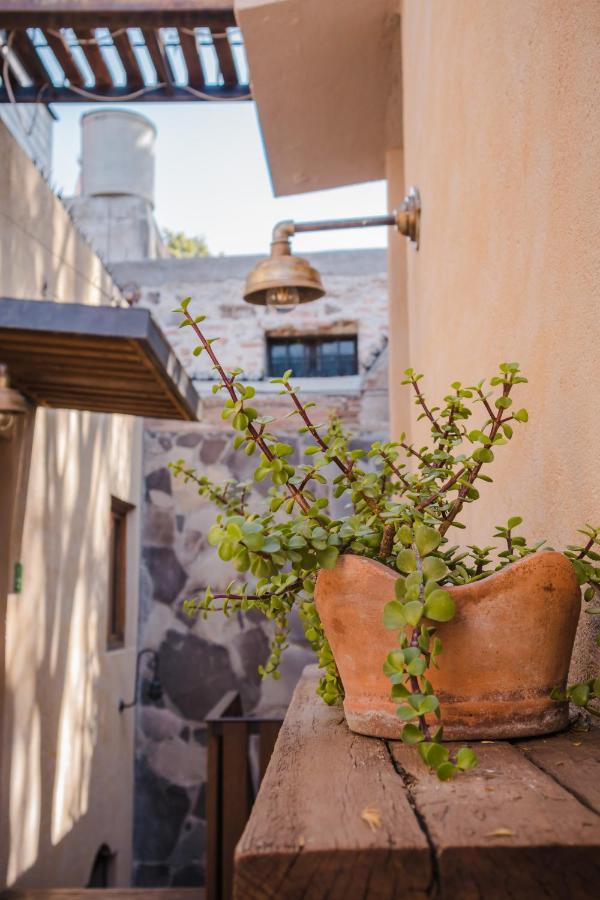 Hotel Casa 88 Σαν Μιγκέλ ντε Αγιέντε Εξωτερικό φωτογραφία
